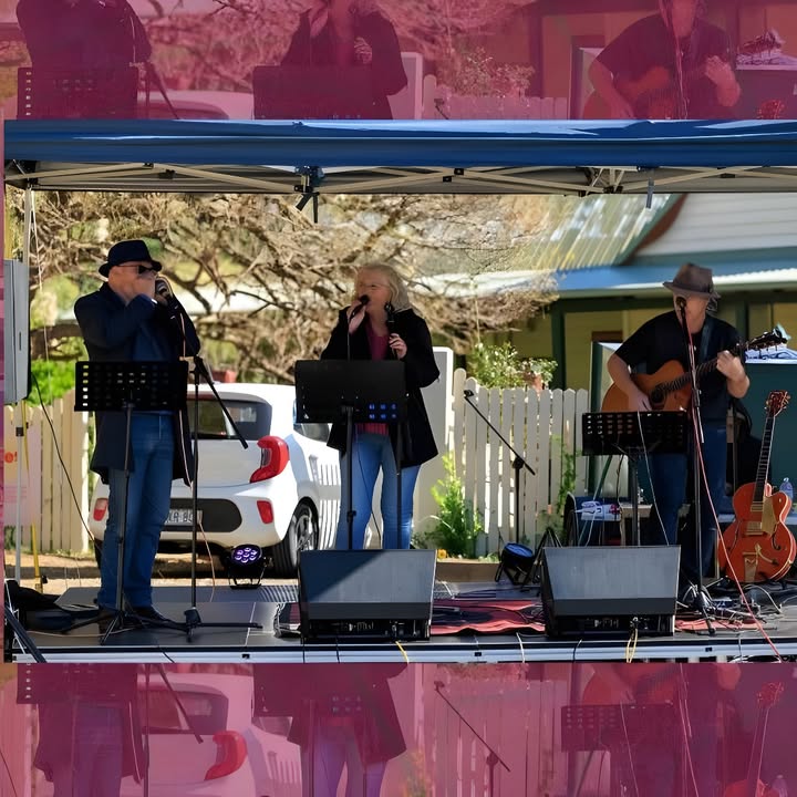 Featured image for “Reflections Trio Live: Saturday Night Session @ The Bowlo”
