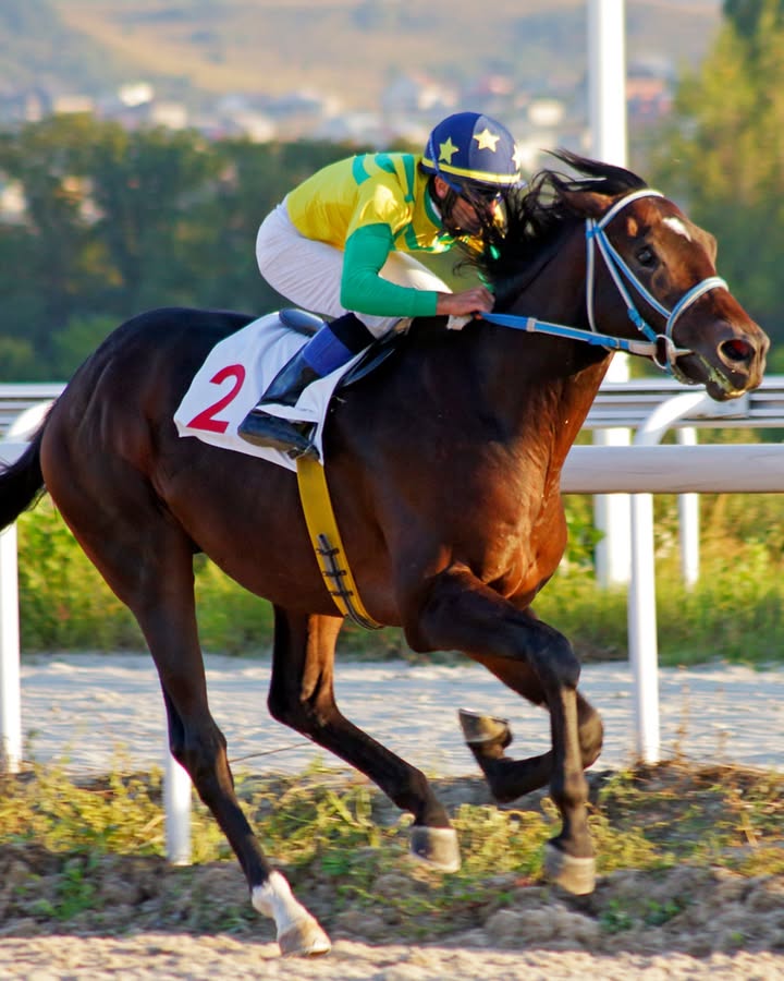 Featured image for “Melbourne Cup Luncheon: Exciting Race Day Event at Tathra Beach Bowling Club”
